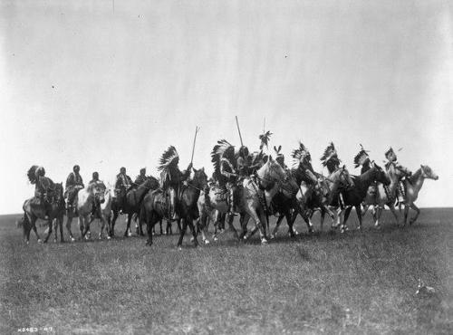 Şimali Amerika hindiləri, 1906-cı il