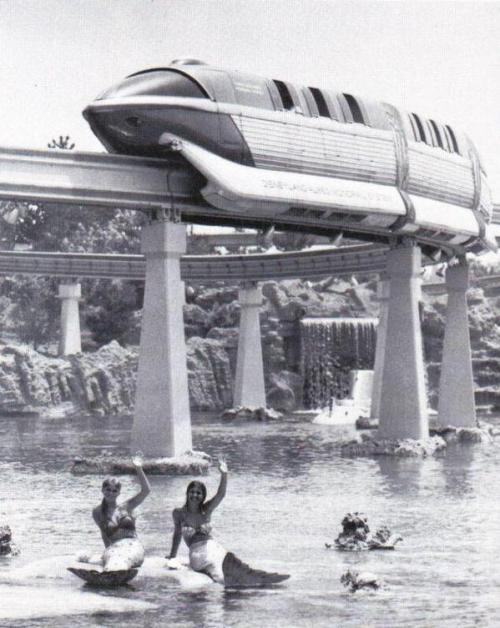 Disneyləndin su pəriləri