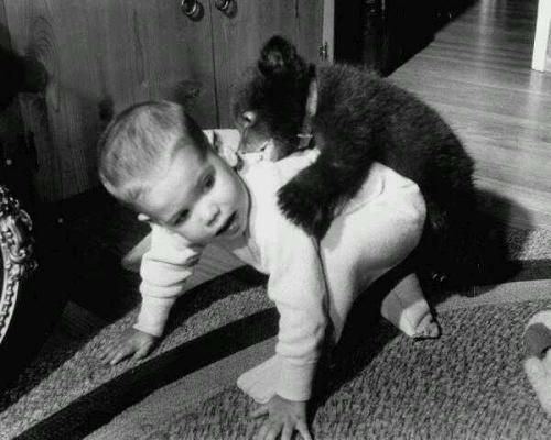 Ayı balası uşaq ilə oynayır, 1957-ci il