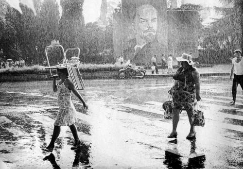 Soçidə yay yağışı