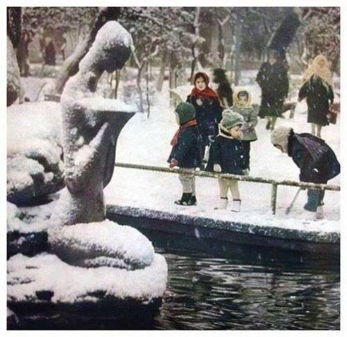 Molokan (indiki Xəqani) bağı, 1970-ci il