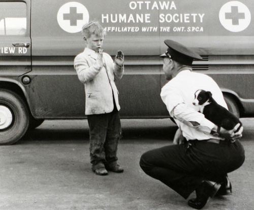 Küçüyünü itirən uşaq, 1950-ci illər