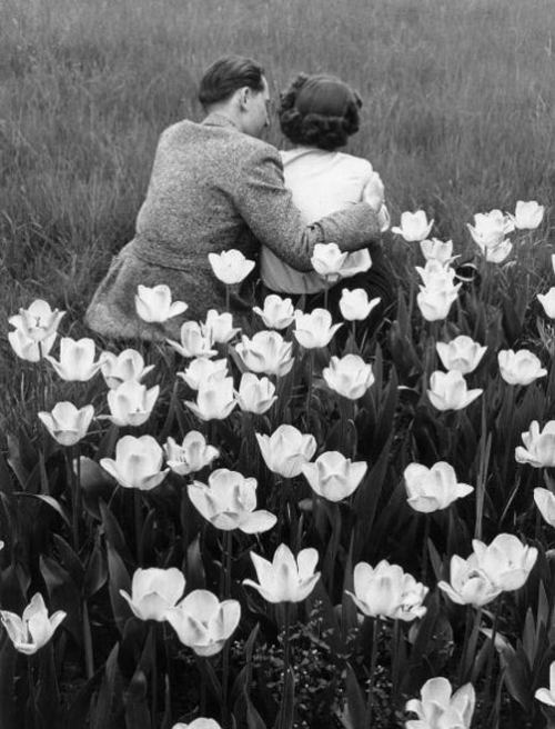 Romantika. Almaniya, 1951-ci il