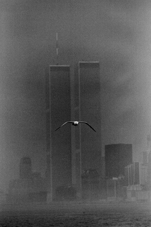 Əkiz qüllələr, 1979-cu il