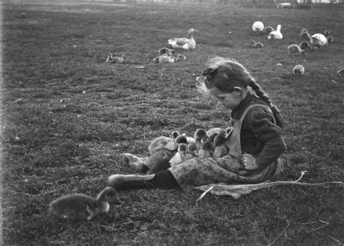 Qız və qaz balaları. Macarıstan, 1918-ci il