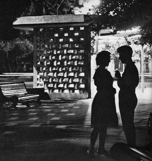 Cütlüyün görüşü. Bakı, 1964-cü il