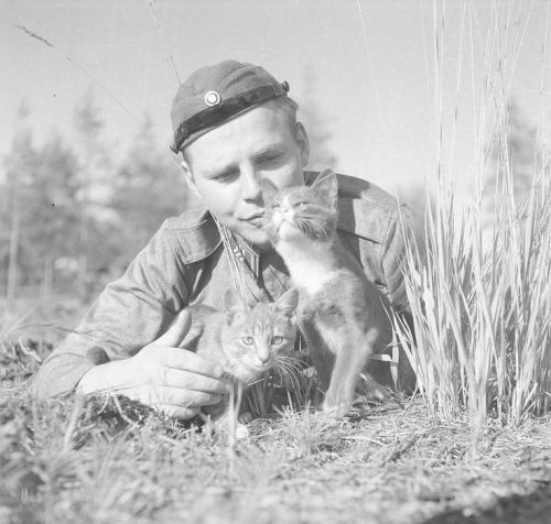 Fin serjantı və pişiklər, 1941-ci il