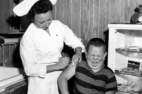 Uşağa peyvənd vurulur, 1950-ci il