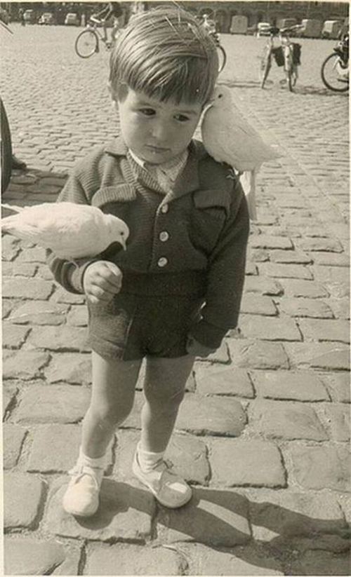 Oğlan və göyərçinlər