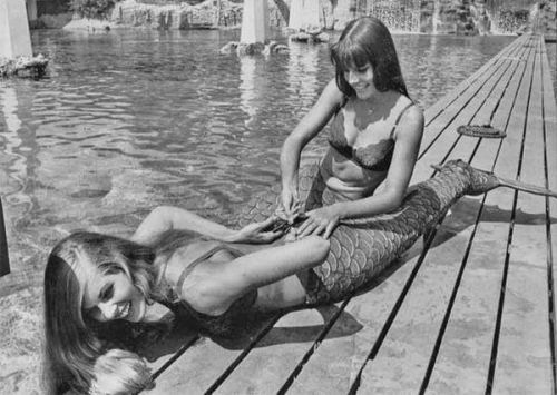 Disneyləndin su pəriləri