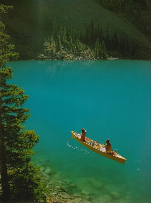 Kanada təbiəti, 1993-cü il