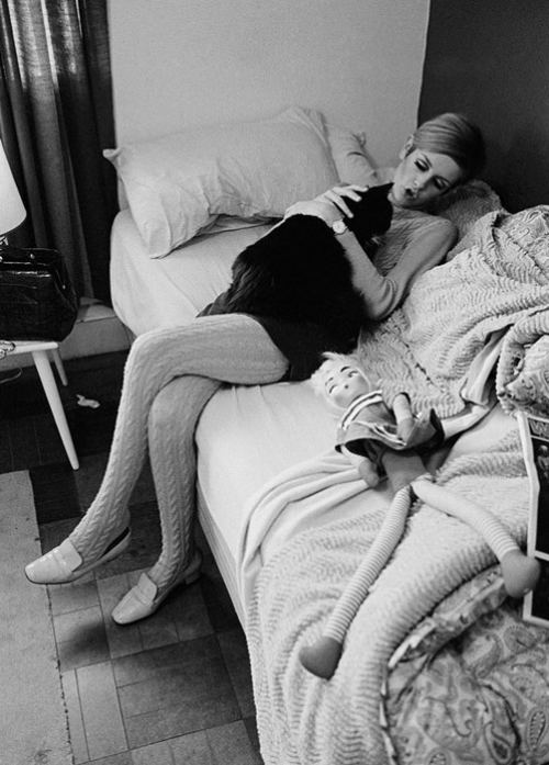 Tviqqi pişiyi ilə, 1966-cı il