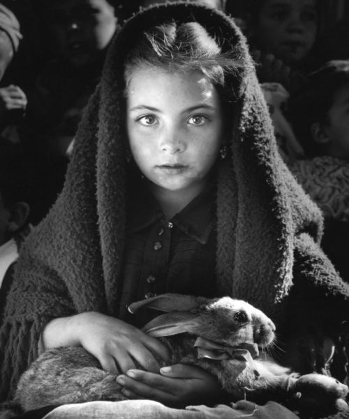 Balaca qız və dovşanı, Portuqaliya. 1954-cü il