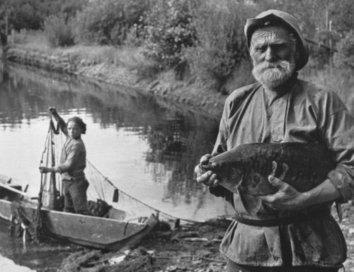 Balıqçı ov zamanı, 1950-ci il