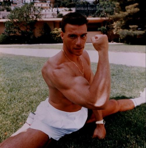 Jan-Klod Van Damm, 1980-ci illər